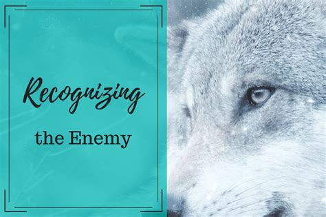 Recognizing the Enemy - Cathy McIntosh