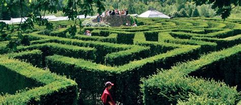 Mazes At Leeds Castle Kent Journey Through 900 Years Of Captivating History At The Loveliest