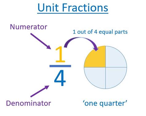 Unit Fractions Of Amounts Maths With Mum