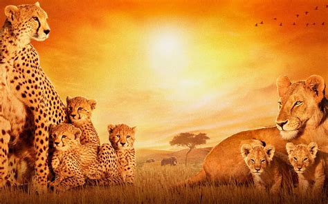 Incomparable African Art Desktop Wallpaper You Can Get It Free