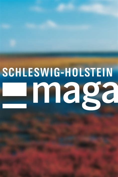 Mit fernsehzone.com kannst du einfach online ndr live, kostenlos und ohne anmeldung schauen. Biathlon World Cup Live Stream | World Cup 2018 Tv India