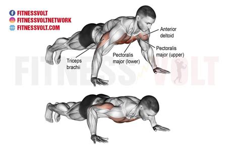 How To Do Push Up Chest Fitness Volt