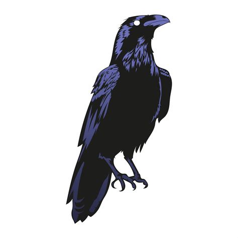 Raven Vector Illustration Black Horror Crow 3256847 Vector Art At Vecteezy