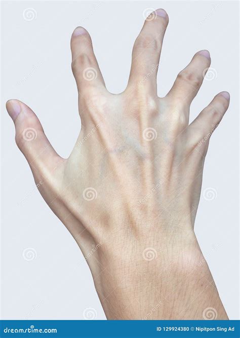 Man`s Slim Hand Isolated On White Background Stock Photo Image Of