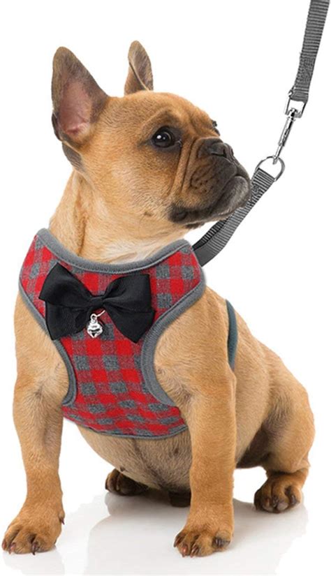Rypet Small Dog Harness And Leash Set No Pull Pet