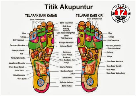 Metode untuk menyembuhkan sebuah penyakit khususnya sakit gigi kini telah semakin banyak ditemukan, terutama melalui pijak refleksi sakit gigi yang secara khusus akan saya kupas secara lengkap disini. PIJAT TERAPI REFLEKSI DJI TOE SURABAYA: PIJAT TERAPI ...