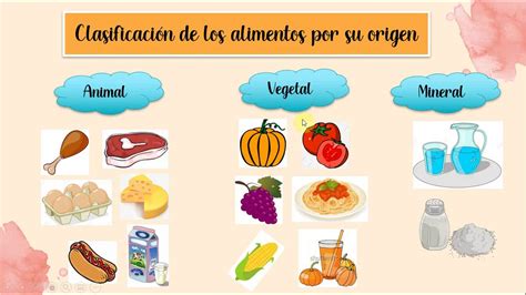 Clasificacion De Los Alimentos Segun Su Funcion Para Ninos De Primaria