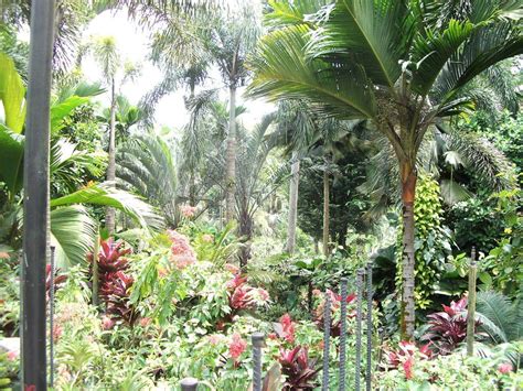 Marivent garden, palma de mallorca. Bild "Botanischer Garten von Singapur" zu Botanischer ...