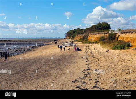 Cudmore Grove Country Park Beach In Essex Stock Photo Alamy