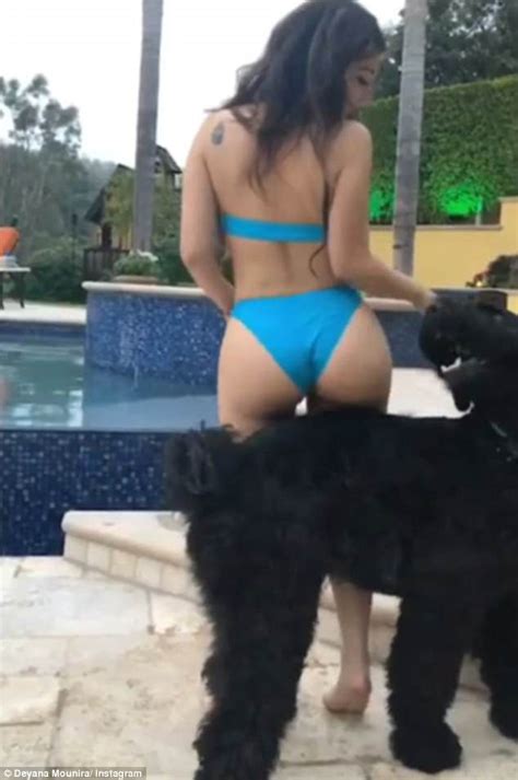 Instagram Model Is Sued For Sexually Arousing A Dog Daily Mail Online