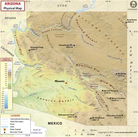 Arizona Physical Wall Map By Maps Of World Mapsales