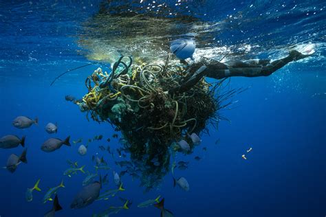 Ghost Gear The Abandoned Fishing Nets Haunting Our Oceans Greenpeace
