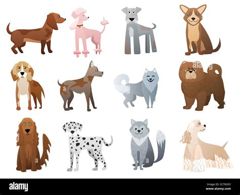 Vector Funny And Cute Cartoon Dogs And Puppy Pet Characters Set Stock