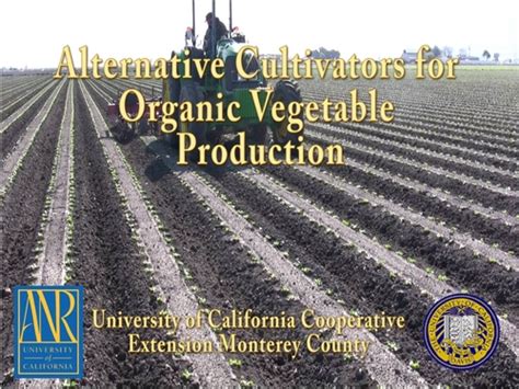 Video On Alternative Cultivators Available Salinas Valley Agriculture Anr Blogs