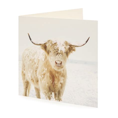 Large Highland Cow Christmas Card 10 Pack Oxfam Gb Oxfams Online