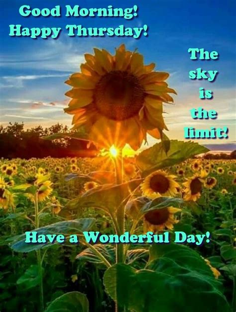 Hi, good morning, thursday, that we have a beautiful day, full of good vibes and certainties that believing in goodness makes all the difference and reaping good fruits depends only on our will. GOOD MORNING HAPPY THURSDAY THE SKY IS THE LIMIT ...