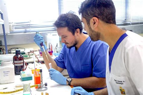 doctorado en ciencias odontológicas facultad de odontología universidad de chile