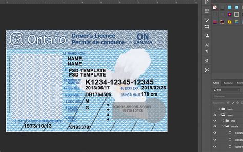 Ontario Drivers License Template Free Printable Templates