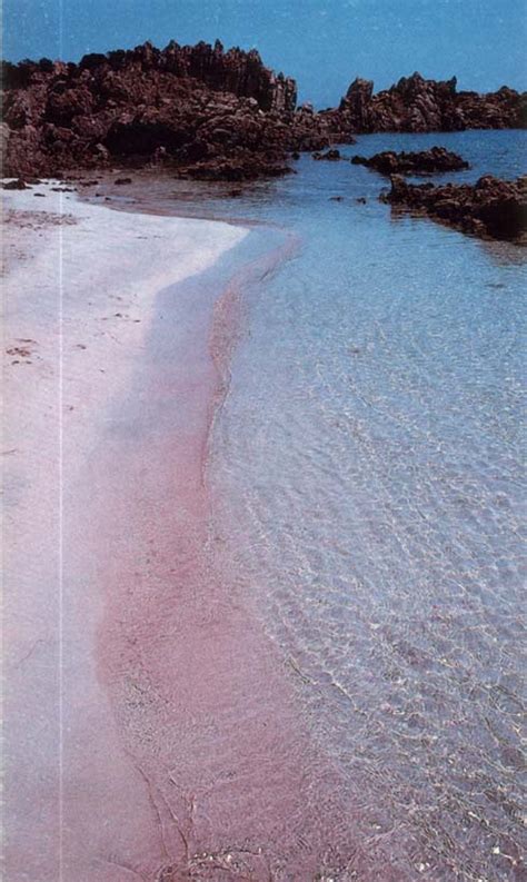 Perché la spiaggia è rosa? Spiaggia rosa di Budelli | lanostracommedia