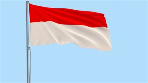 Bendera ini kemudian menjadi lambang kedaulatan negara kesatuan republik indonesia (nkri). Alasan Wanita Ini Bakar Bendera Merah Putih Gak Masuk Akal!