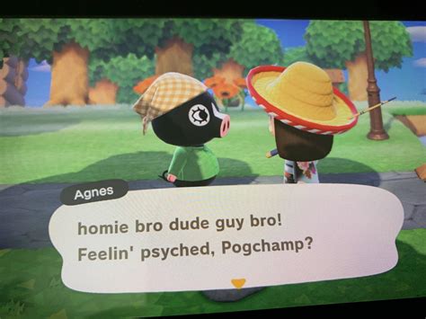Custom greetings and catchphrases were a mistake : r/AnimalCrossing