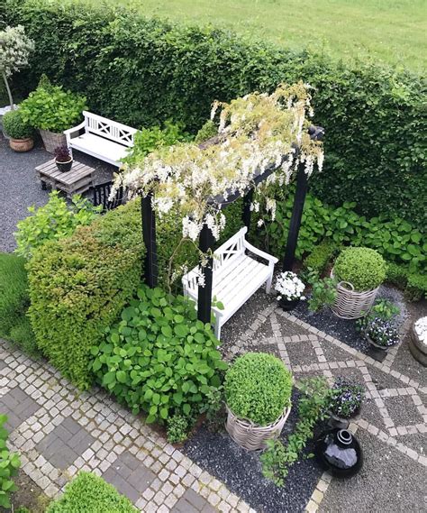 birds view 🐦🌿 👉🏻go to my stories to see the garden room on the left 🌿 wisteria backyard patio