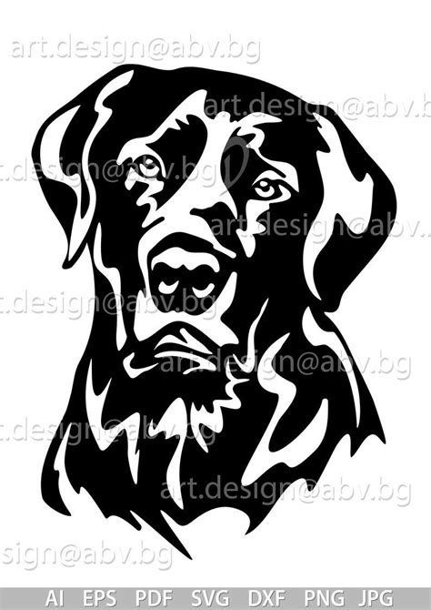 Labrador Noir Labrador Art Black Labrador Labrador Silhouette Dog