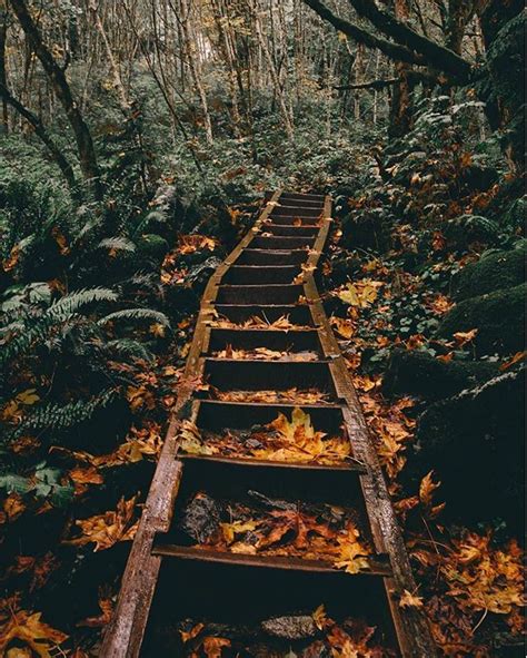 Stairway To Heaven Probably Bridal Veil Falls Wa⠀ Photo By