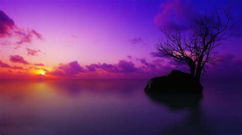 Purple Sunset Wallpapers Group Paysage Images