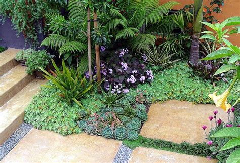 The 25 Best Succulent Ground Cover Ideas On Pinterest