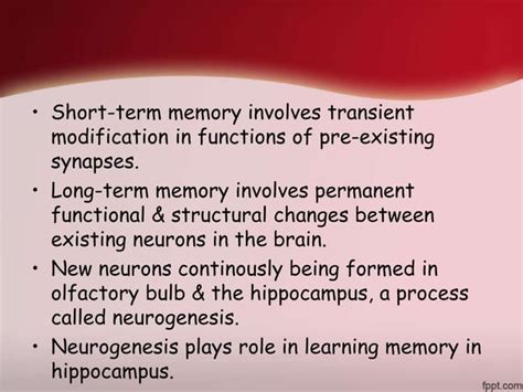 Physiology Of Memory