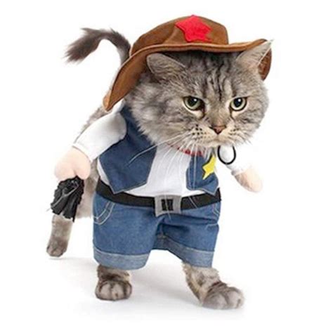 Cowboy Cat Costume Best Cat Costumes For Halloween 2020 Popsugar