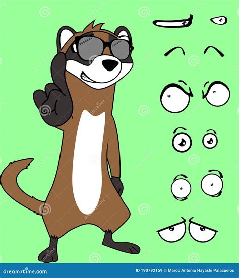 Funny Ferret Cartoon Expressions Set Collection Stock Vector