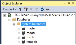 SQL Server System Databases The Model Database