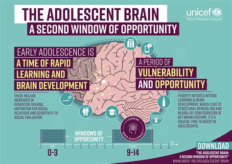 The Adolescent Brain A Second Window Of Opportunity