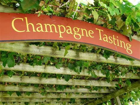 Champagne Tasting Picture Of Pugliese Vineyards Cutchogue Tripadvisor