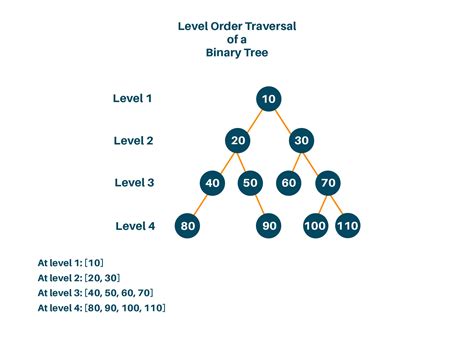 Level Order Traversal Of Binary Tree Python Code Favtutor
