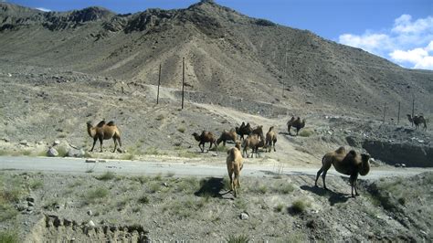 If you want to go by car, the driving distance between oceanside and bloomington is 121.78 km. Experiences from the Silk Road - On Global Trails
