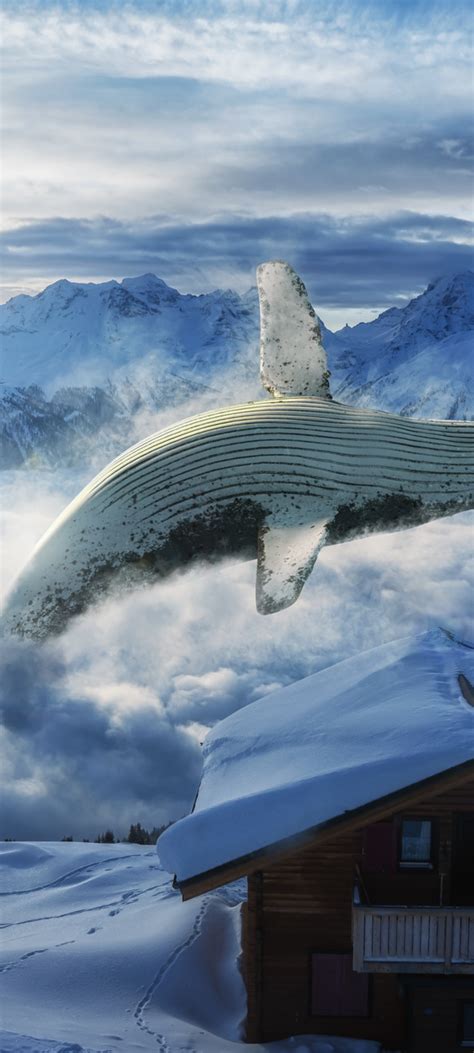 Whale Wallpaper 4k Mountain Range Snow Covered Wooden House