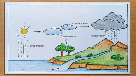 How To Draw Water Cycle Of A School Project Youtube
