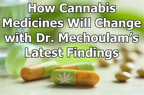 How Cannabis Medicines Will Change With Dr Mechoulams Latest Findings