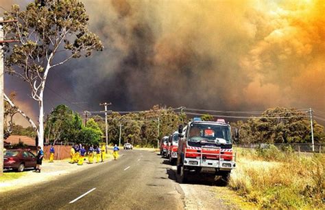Bushfire Crisis In New South Wales Australia Interesting Facts