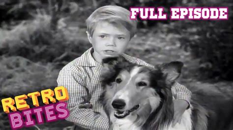 Lassie Lassies Decision Full Episodes 🐕 Youtube