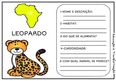 Ficha Técnica De Animais Para 3 Ano Do Ensino Fundamental