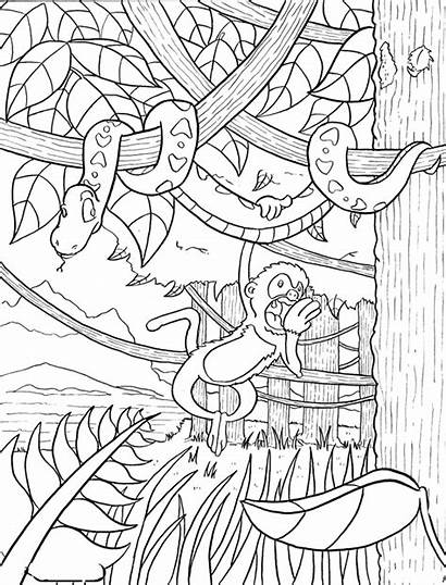 Rainforest Coloring Pages Magic Tree Afternoon Forest