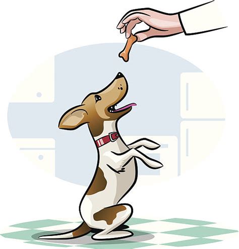 Dog Biscuit Illustrations Royalty Free Vector Graphics And Clip Art Istock