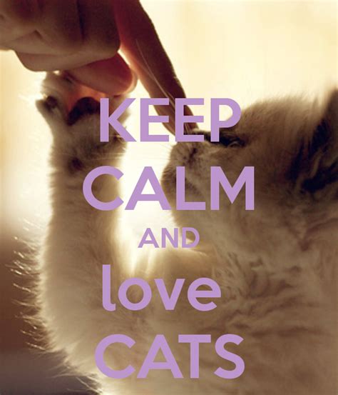 Love Cats Calming Cat Cat Quotes Keep Calm Quotes
