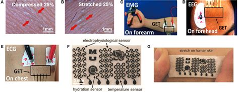 Frontiers Graphene Based Sensors For Human Health Monitoring