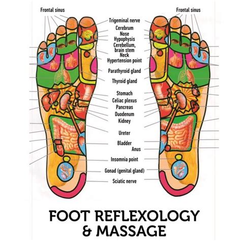 Foot Massage Benefits Of Reflexology Donnerberg