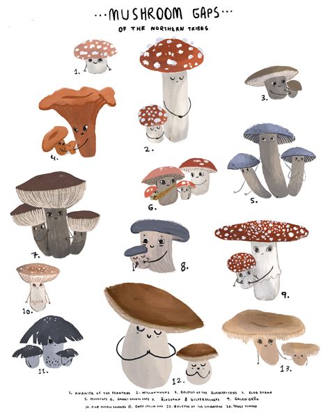 Printable Digital Mushroom Chart Mushroom Poster Etsy
